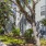 a street with trees and cars