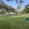 Dog Park