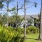 a house with trees and grass